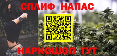 стафф Будённовск