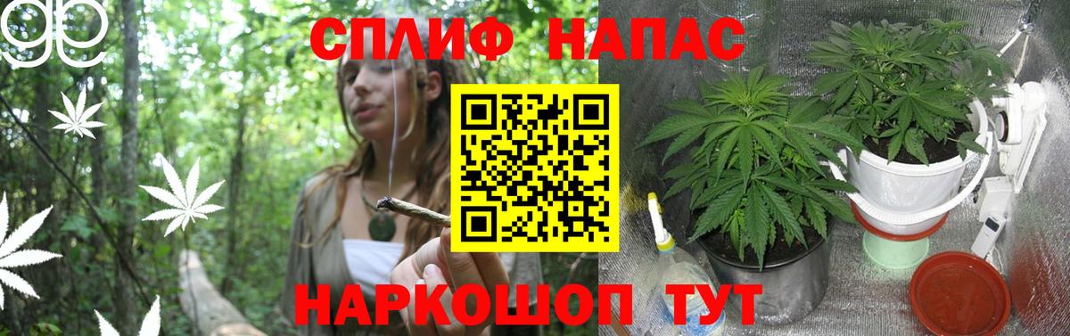 Конопля Amnesia Снежинск